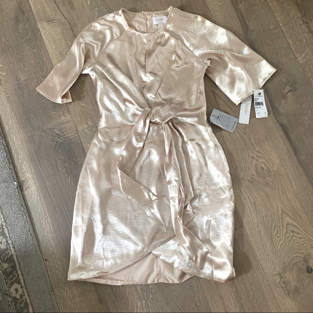 Dilliard’s Champagne Dress